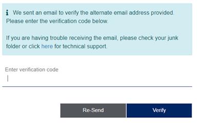 Screenshot of email verification
