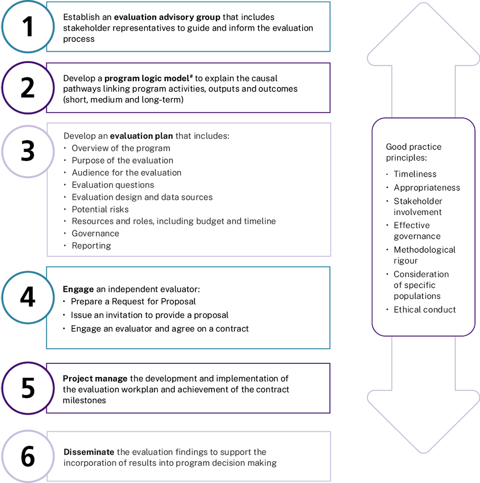 Steps to plan and manage a population health program evaluation - link to text alternative follows image